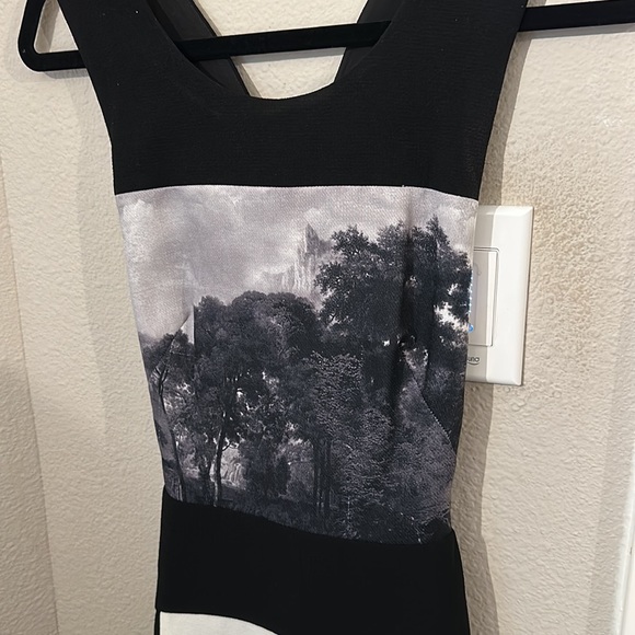 BCBG COCKTAIL DRESS - Picture 2 of 5